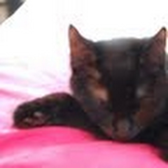 Meet your Posher, Amanda - Picture 1 of 1